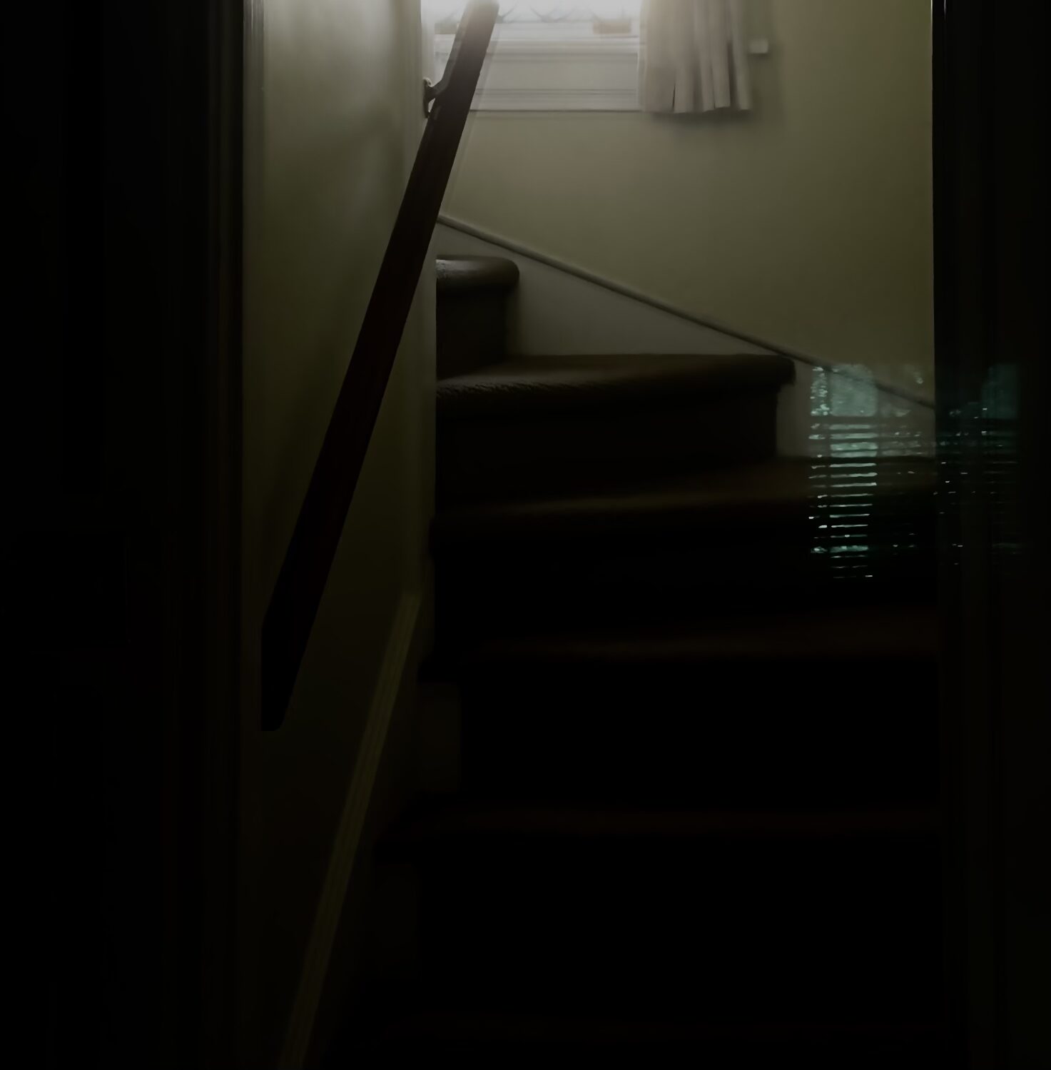 window_projection